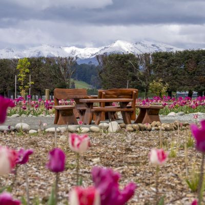 Banner Image For Along The Top On Main Page