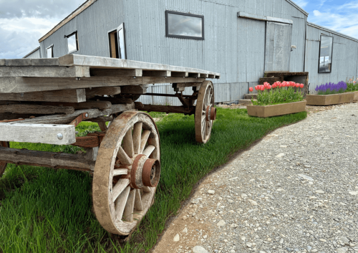 Woolshed Wagon 850x600